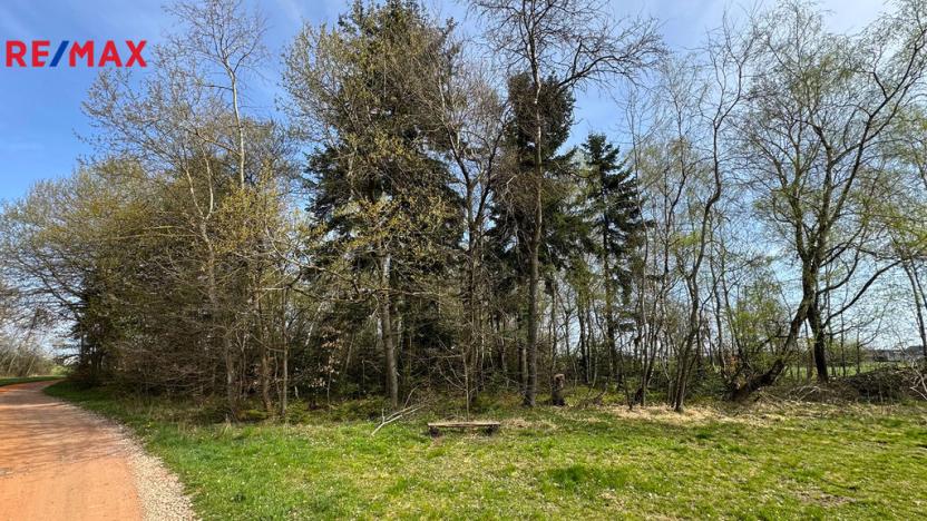 Prodej lesa, Spálov, 25088 m2