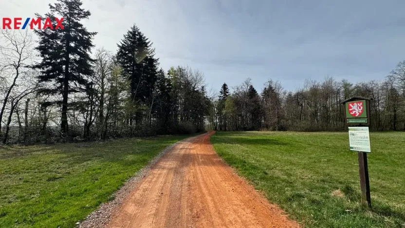 Prodej lesa, Spálov, 25088 m2