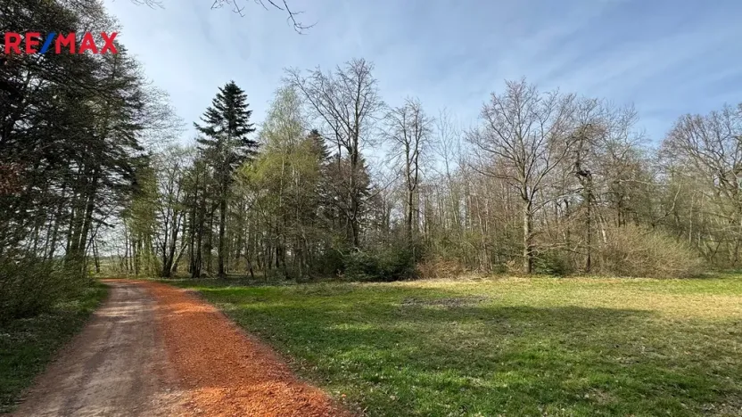 Prodej lesa, Spálov, 25088 m2