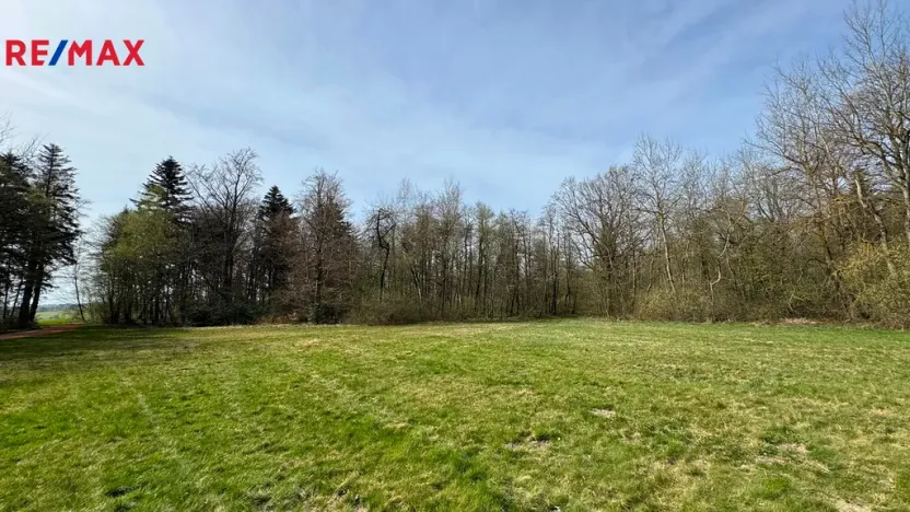 Prodej lesa, Spálov, 25088 m2