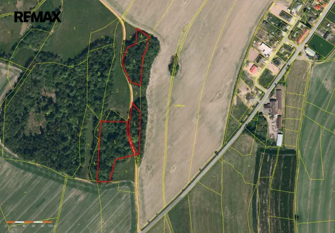 Prodej lesa, Spálov, 25088 m2