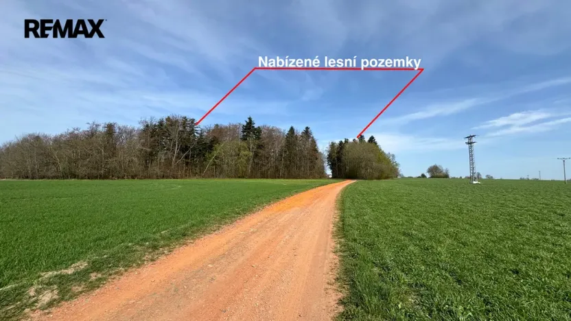 Prodej lesa, Spálov, 25088 m2