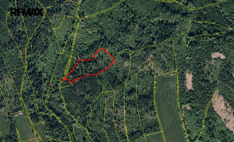 Prodej lesa, Spálov, 25088 m2