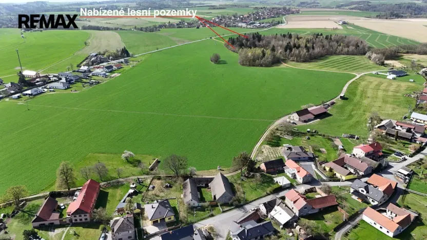 Prodej lesa, Spálov, 25088 m2