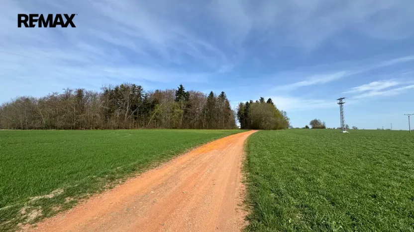 Prodej lesa, Spálov, 25088 m2