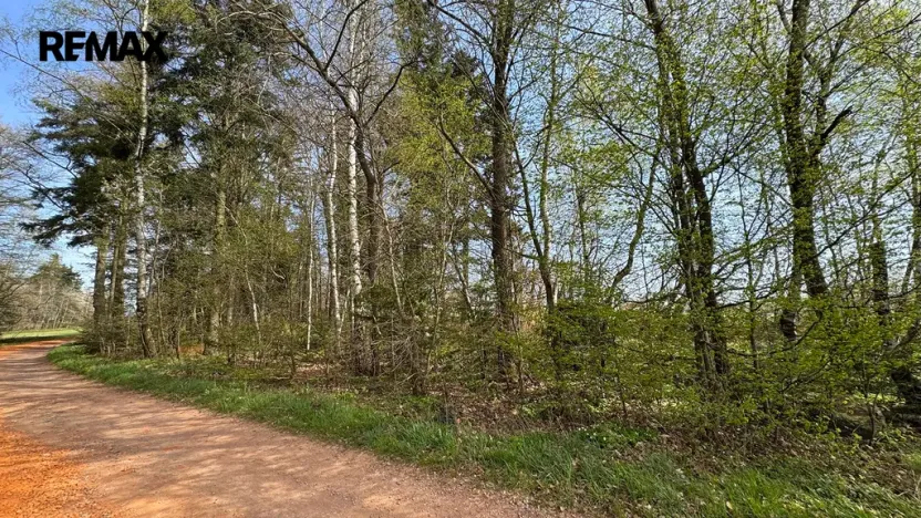 Prodej lesa, Spálov, 25088 m2