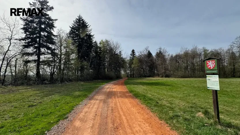 Prodej lesa, Spálov, 25088 m2