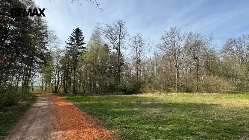 Prodej lesa, Spálov, 25088 m2