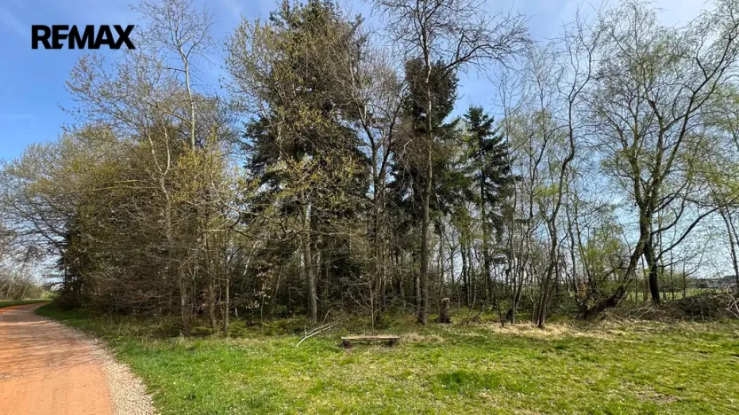 Prodej lesa, Spálov, 25088 m2