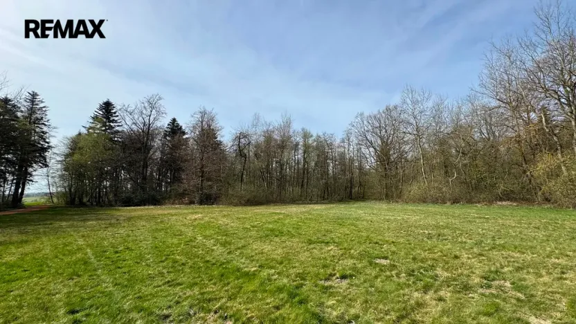 Prodej lesa, Spálov, 25088 m2