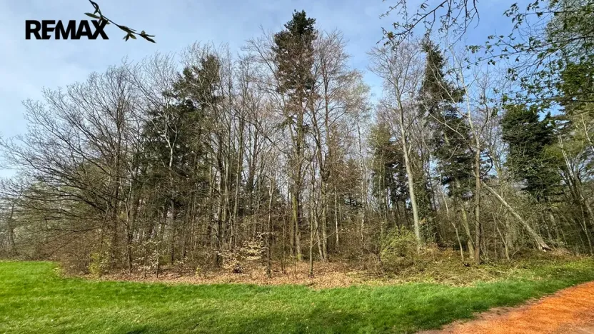 Prodej lesa, Spálov, 25088 m2