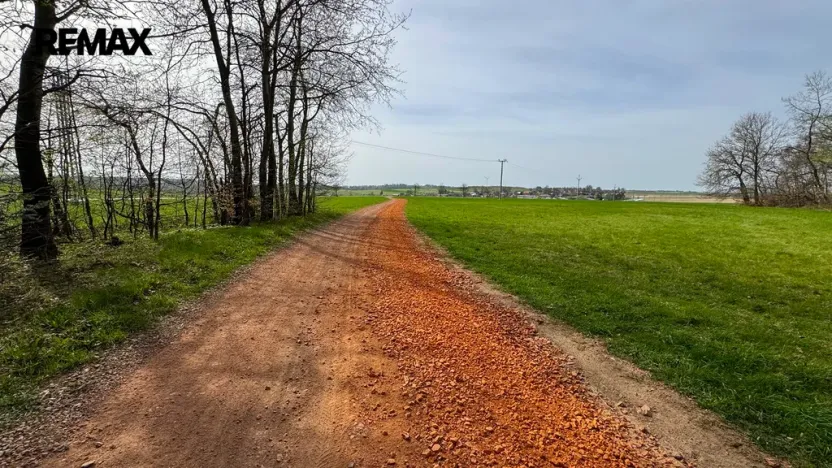 Prodej lesa, Spálov, 25088 m2