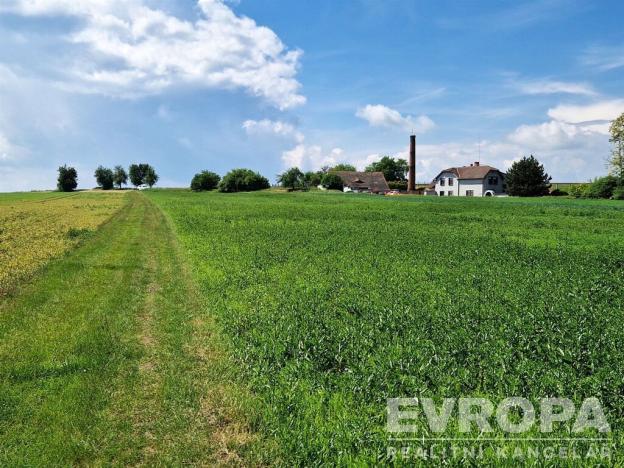 Prodej pozemku pro bydlení, Brozany nad Ohří, 30111 m2