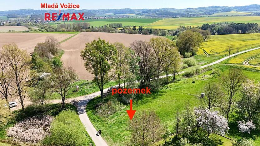 Prodej pozemku pro bydlení, Řemíčov, 699 m2