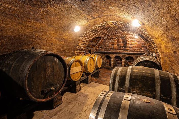 Prodej vinného sklepa, Sedlec, 209 m2