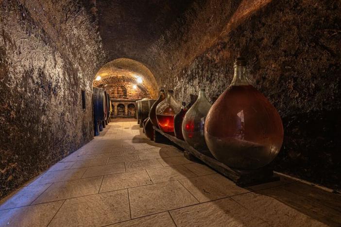 Prodej vinného sklepa, Sedlec, 209 m2