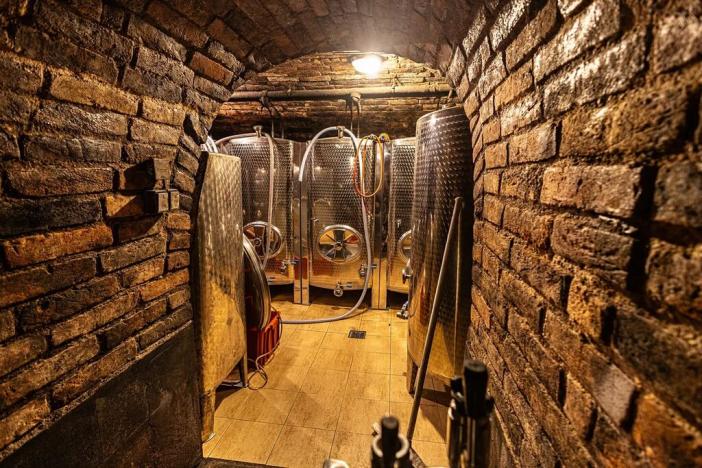 Prodej vinného sklepa, Sedlec, 209 m2