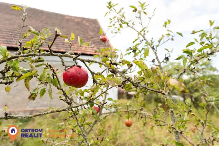 Prodej zemědělské usedlosti, Chlum, 823 m2