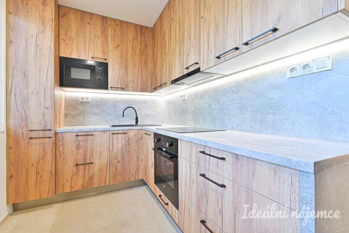 Pronájem bytu 2+1, Brno, náměstí SNP, 55 m2