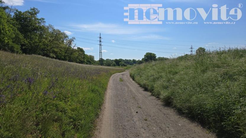 Prodej zahrady, Benátky nad Jizerou, 398 m2