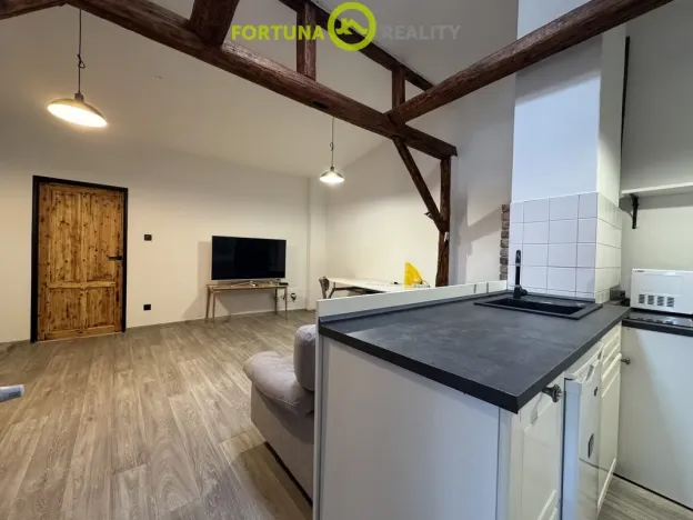 Prodej rodinného domu, Dolní Benešov - Zábřeh, Opavská, 338 m2