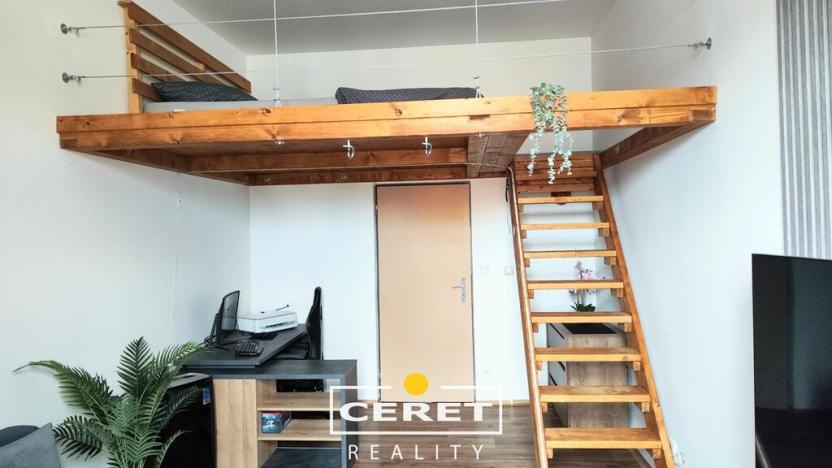 Prodej vícegeneračního domu, Žatec, Chomutovská, 300 m2