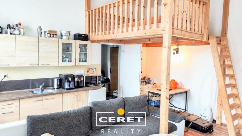 Prodej vícegeneračního domu, Žatec, Chomutovská, 300 m2