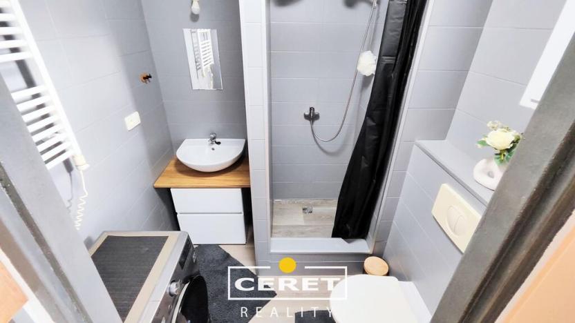 Prodej vícegeneračního domu, Žatec, Chomutovská, 300 m2