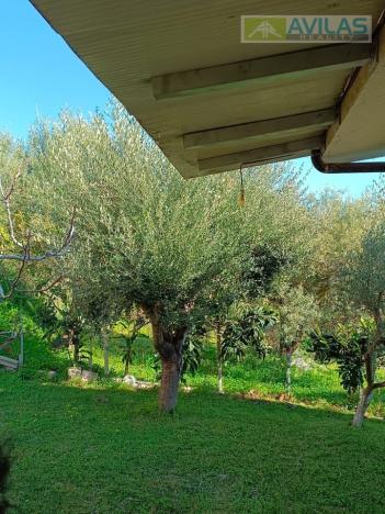 Prodej rodinného domu, 210 m2