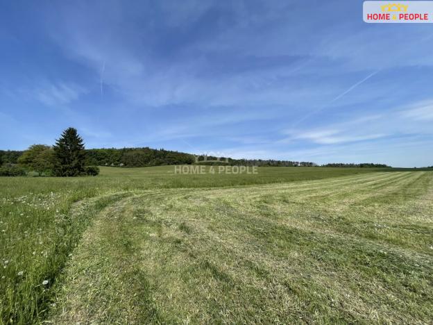 Prodej louky, Nalžovice - Nalžovické Podhájí, 3932 m2