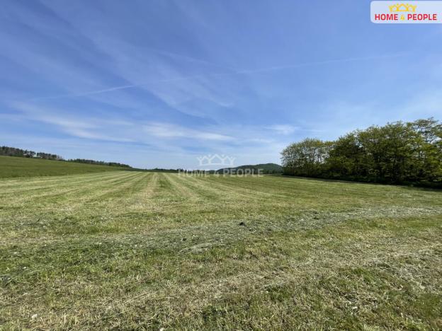Prodej louky, Nalžovice - Nalžovické Podhájí, 3932 m2