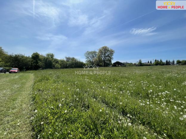 Prodej louky, Nalžovice - Nalžovické Podhájí, 3932 m2