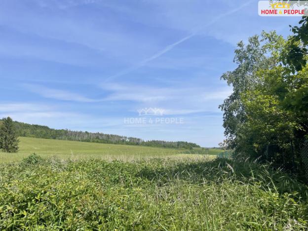 Prodej louky, Nalžovice - Nalžovické Podhájí, 3932 m2