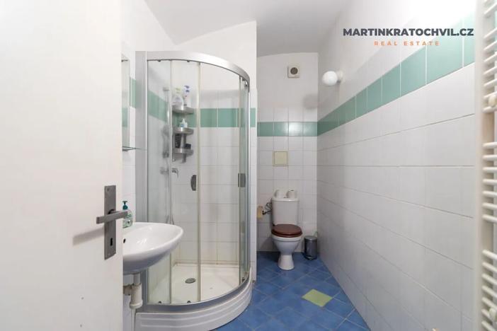 Prodej bytu 1+kk, Praha - Karlín, Březinova, 50 m2