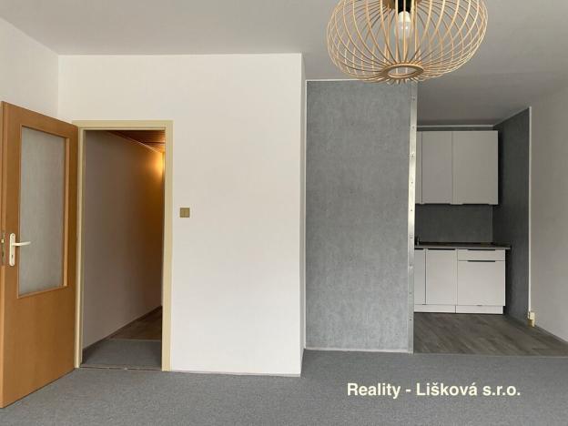 Prodej bytu 1+kk, Ústí nad Labem - Krásné Březno, Žežická, 30 m2