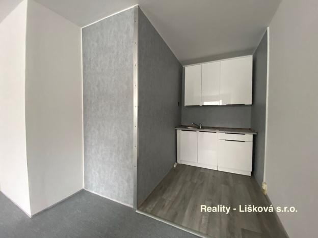 Prodej bytu 1+kk, Ústí nad Labem - Krásné Březno, Žežická, 30 m2