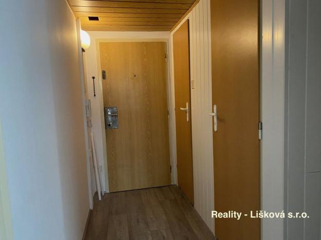 Prodej bytu 1+kk, Ústí nad Labem - Krásné Březno, Žežická, 30 m2