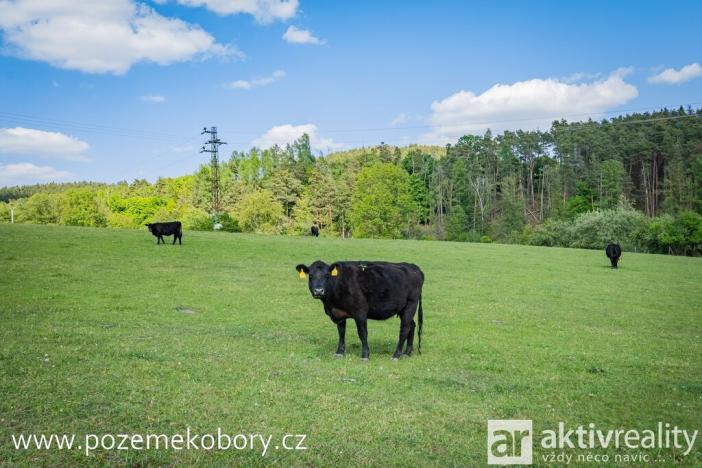 Prodej pozemku pro bydlení, Obory, 1147 m2