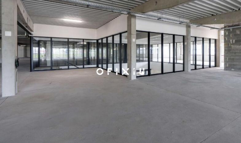 Pronájem obchodního prostoru, Brno, Kaštanová, 589 m2