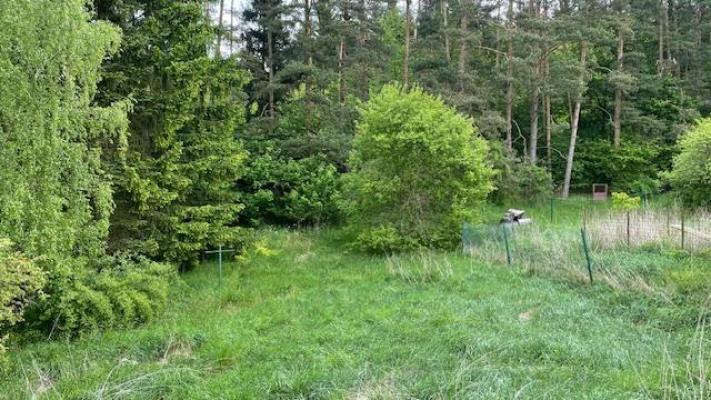 Prodej rodinného domu, Ostrov u Macochy