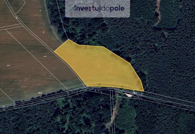 Prodej pole, Kropáčova Vrutice - Kojovice, 5421 m2