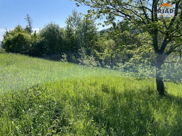 Prodej pozemku pro bydlení, Slaná, 3296 m2