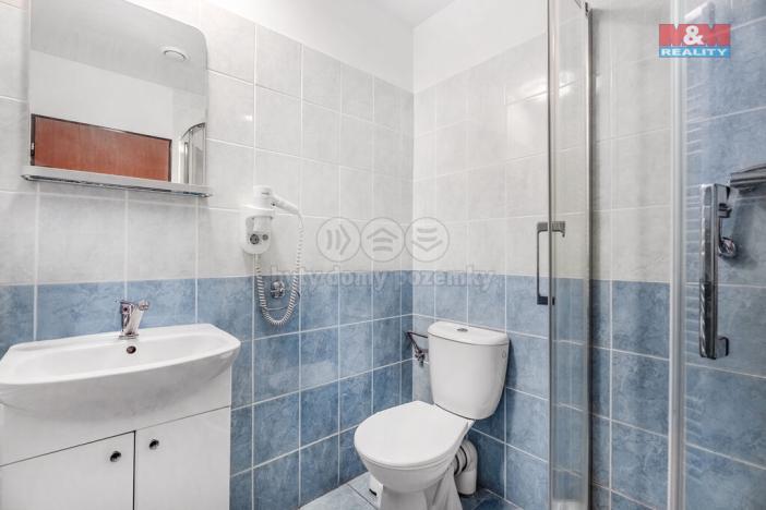 Prodej ubytování, Bílina - Mostecké Předměstí, Kyselská, 170 m2