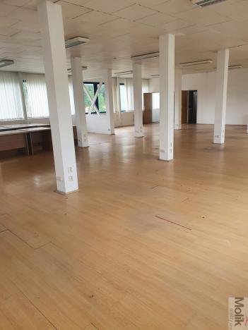 Pronájem komerční nemovitosti, Korozluky, 400 m2