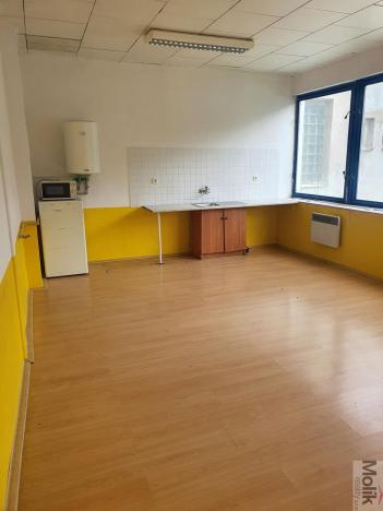 Pronájem komerční nemovitosti, Korozluky, 400 m2