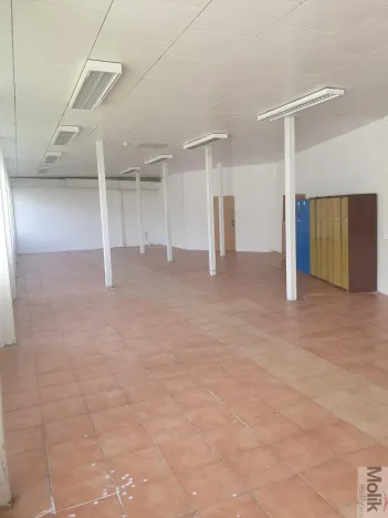 Pronájem komerční nemovitosti, Korozluky, 400 m2
