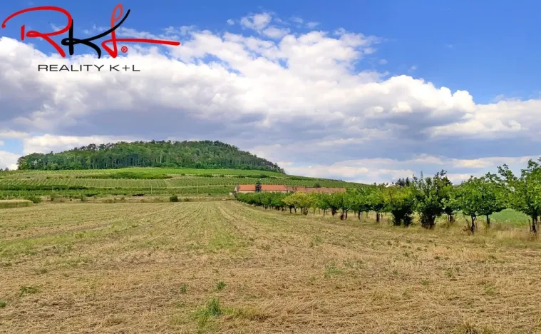 Prodej rodinného domu, Brzánky, 54 m2