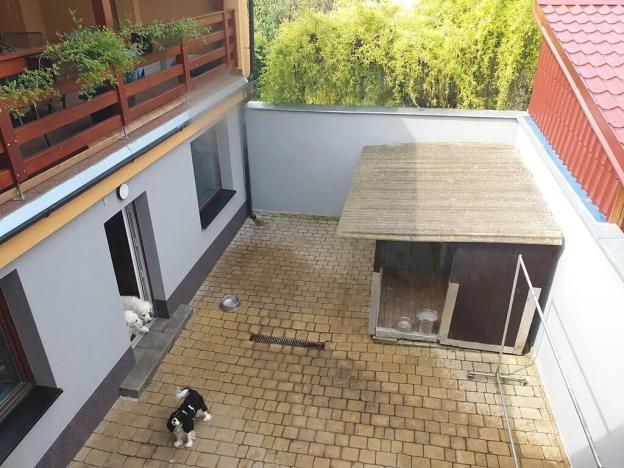 Prodej vícegeneračního domu, Břeclav, Písníky, 200 m2