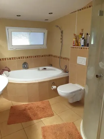 Prodej vícegeneračního domu, Břeclav, Písníky, 200 m2