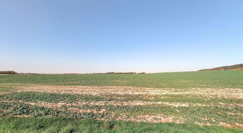 Prodej pole, Střemošice, 3348 m2